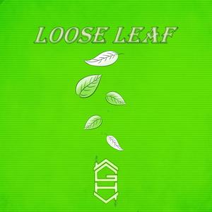 Loose Leaf (feat. Solmar) (Explicit)