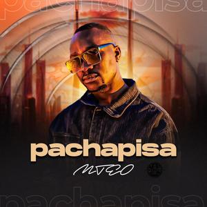 Pachapisa