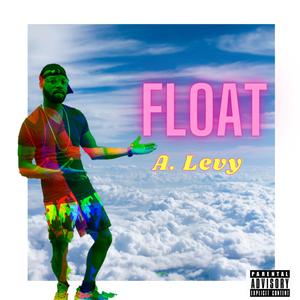 FLOAT (Explicit)