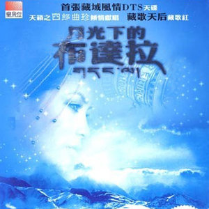 月光下的布达拉