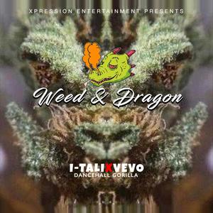 Weed and Dragon (feat. Dancehall Gorilla)