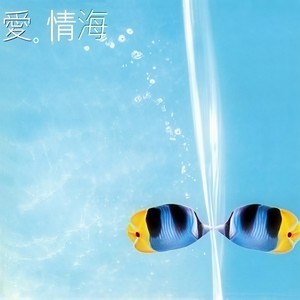 月亮之上