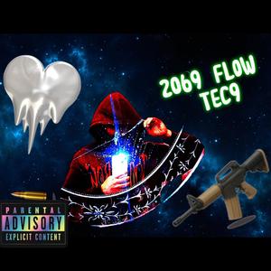 2069 Flows (Explicit)