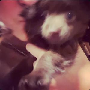 oneyear (feat. mxdy) (Explicit)