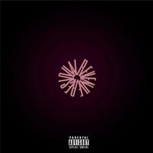 Dumb Rappers(feat. Cyga) (Explicit)