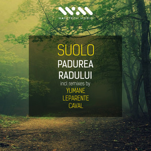 Padurea Radului (Caval Remix)