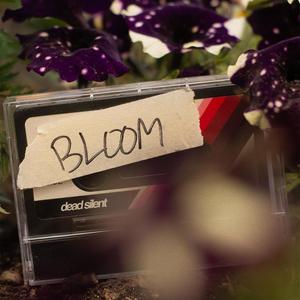 Bloom (Toxic Little Flower) (Explicit)