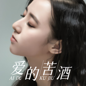 爱的苦酒 (伴奏)