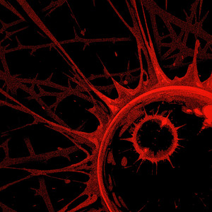 brutal (Super Slowed)