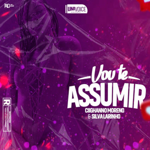 Vou Te Assumir (Explicit)