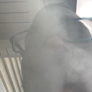 Dumb Bandits (Explicit)