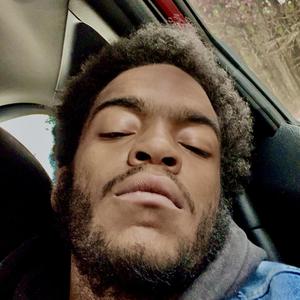 History - Life Of A Beast (Explicit)