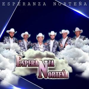 24 rosas