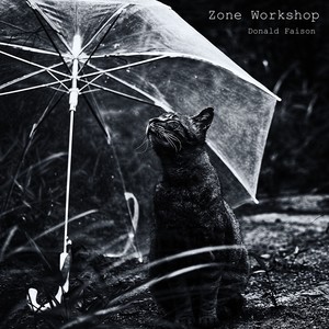 Zone Workshop