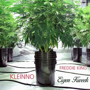 Eigen Kweek (feat. Freddie King)