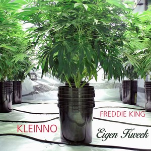 Eigen Kweek(feat. Freddie King) (Explicit)