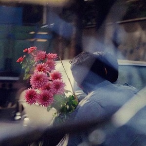 是花自然香，是爱自然长