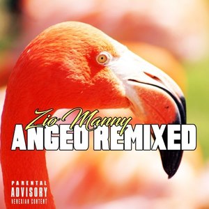 Angeo (Metal Flamingo Remix|Explicit)