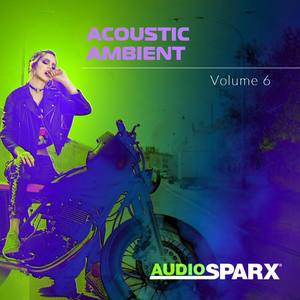 Acoustic Ambient Volume 6