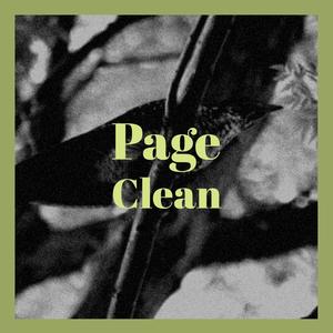 Page Clean