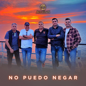 No Puedo Negar