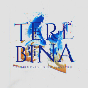 Tere Bina