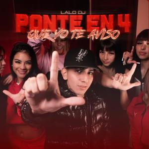 Ponte En 4 Que Yo Te Aviso (Remix)
