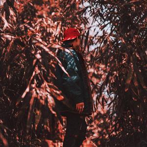 Reina (feat. EOC Music) (Explicit)