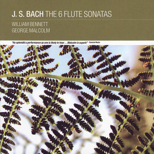 Sonata for Flute No.6 in E, BWV 1035 - J.S. Bach: Sonata for Flute No.6 in E, BWV 1035: 3. Siciliano
