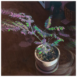 Зарифмовал