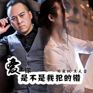 爱上你是不是我犯的错