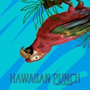 Hawaiian Punch (feat. Aquafresh) [Explicit]