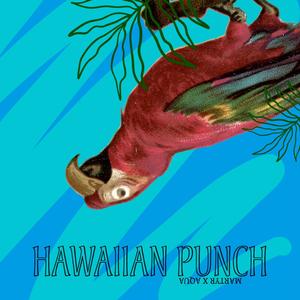 Hawaiian Punch (feat. Aquafresh) (Explicit)