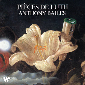 Second livre de pièces de luth, Suite No. 2 en fa dièse - Mouton: Second livre de pièces de luth, Suite No. 2 en fa dièse: Sarabande. La Mallassis