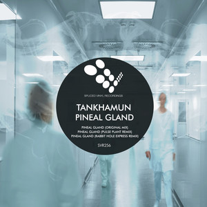 Pineal Gland (Original Mix)