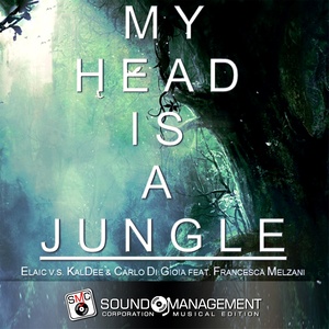 My Head Is a Jungle (Radio Edit)