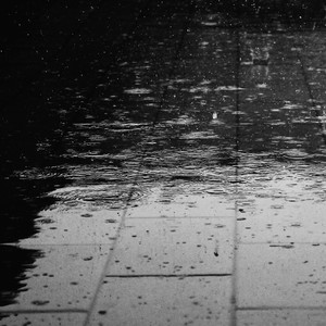 Windy Rain on Pavement