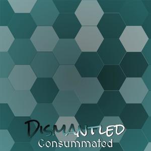 Dismantled Consummated