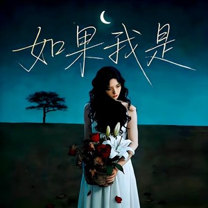 如果我是 (伴奏)