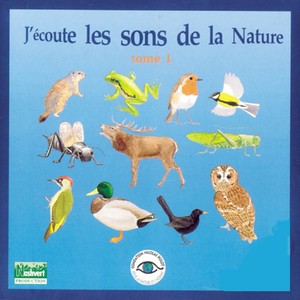 Various Artists - Naissance d'un petit ruisseau