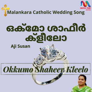 Okkumo Shaheer Kleelo - Single
