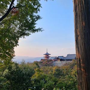 perhaps i dont name my songs correctly