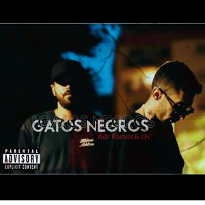 Gatos negros (Explicit)