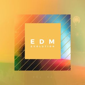EDM Evolution - Vol. 02