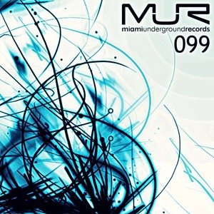 Flight Back (Original Mix)