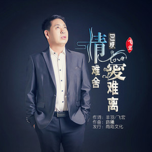 情难舍爱难离 (DJ苏平版)