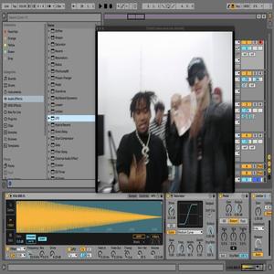 PARTY ROCK ANTHEM (feat. Skunkroses & Notsampson) (Explicit)