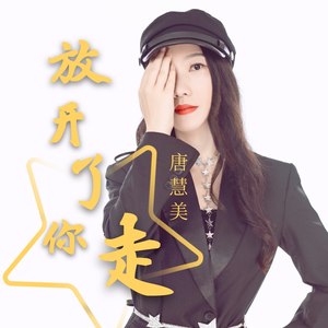 放开了你走 (DJ版)