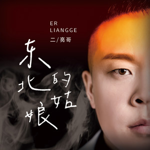 东北的姑娘 (DJ新版)