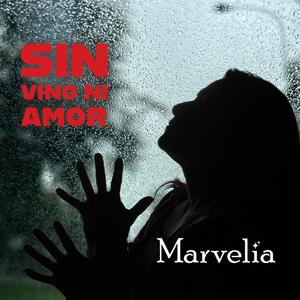 Sin vino ni amor